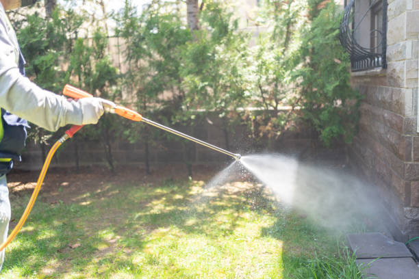 Professional Pest Control in Easton, CA